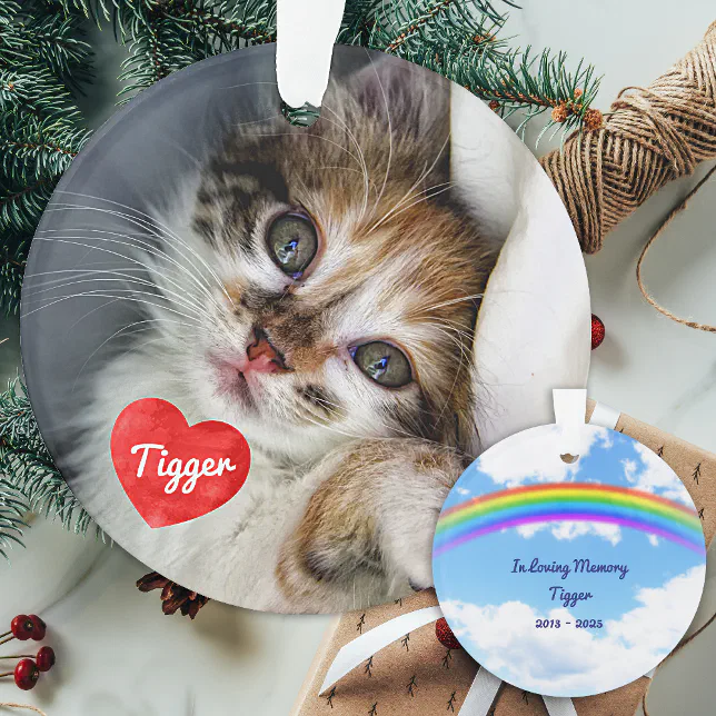 In Loving Memory - Cat Photo Rainbow Pet Memorial Ornament | Zazzle