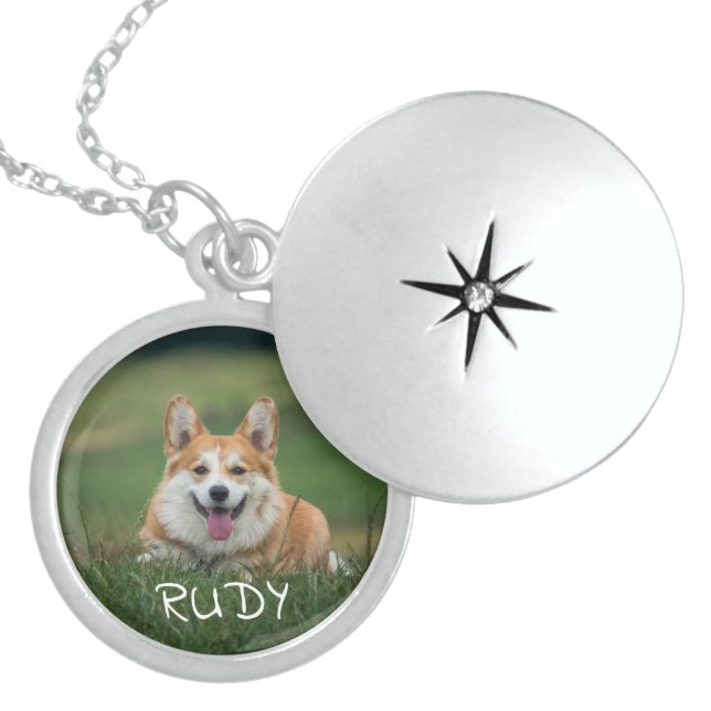 In Loving Memory,Dog Photo Gold Plated Necklace (Front)
