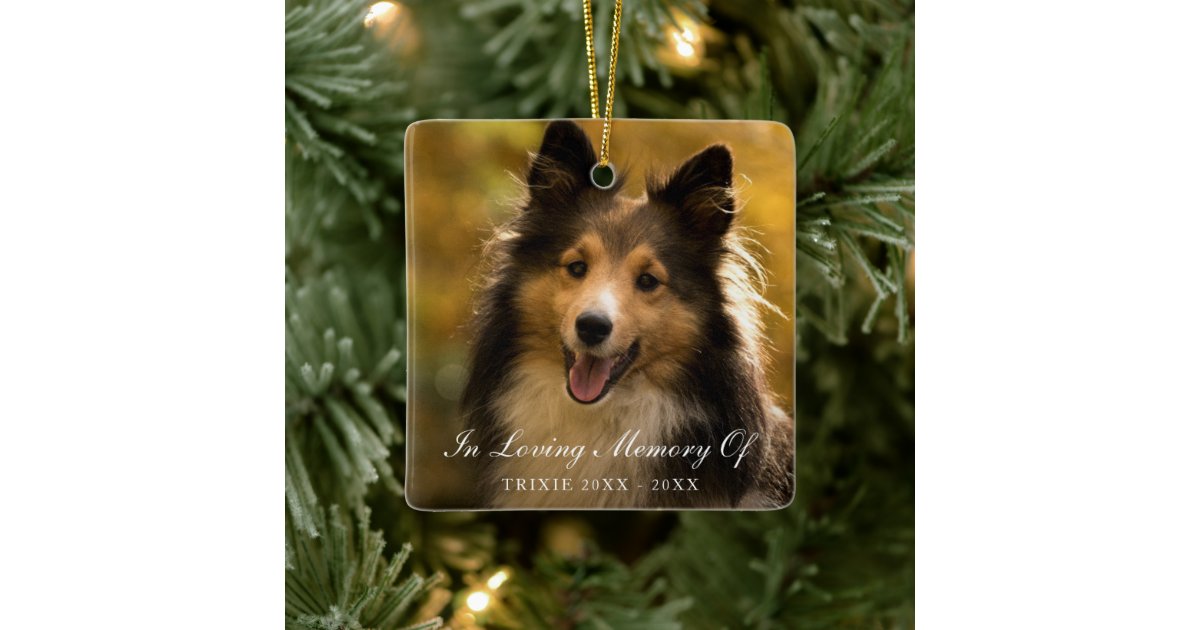 In Loving Memory Elegant Photo Pet Memorial Ceramic Ornament | Zazzle