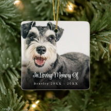In Loving Memory Elegant Photo Pet Memorial