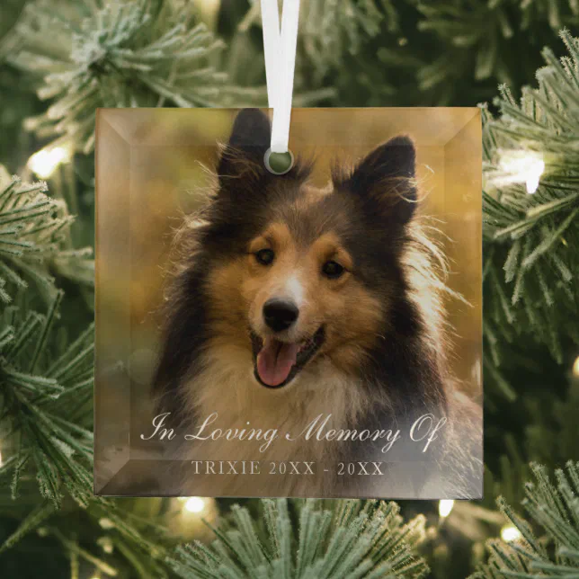 In Loving Memory Elegant Photo Pet Memorial Glass Ornament Zazzle
