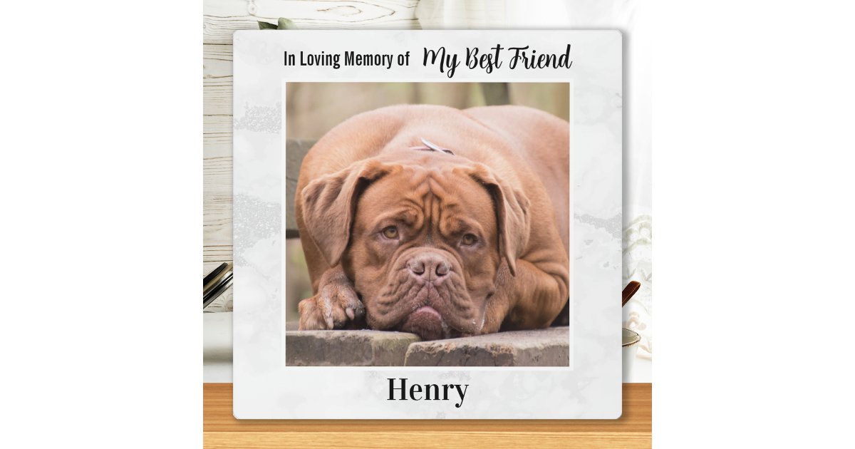In Loving Memory - Man's Best Friend Pet Memorial Plaque | Zazzle
