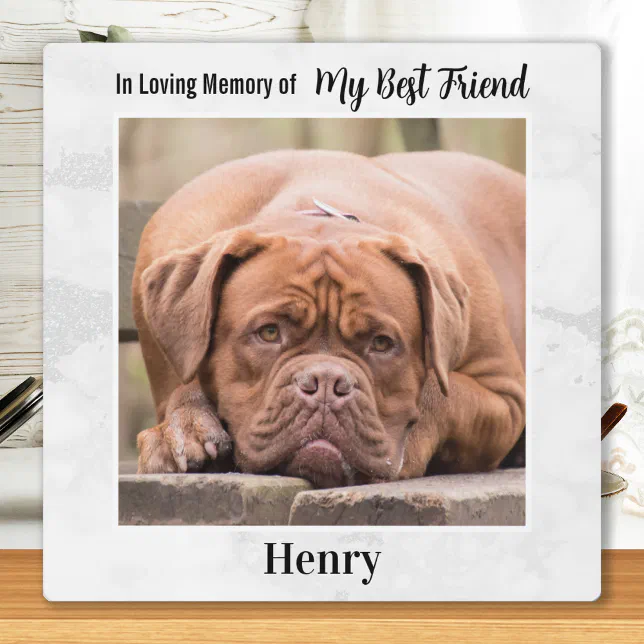 In Loving Memory - Man's Best Friend Pet Memorial Plaque | Zazzle
