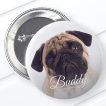 In Loving Memory Modern Name Photo Pet Keepsake
