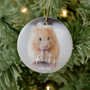 In Loving Memory of Pet Ceramic Ornament Persona