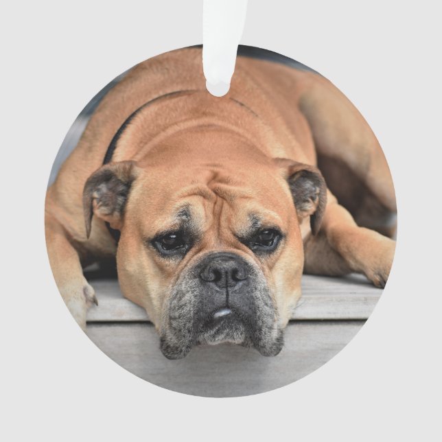 In Loving Memory Pet Christmas Memorial Ornament (Front)