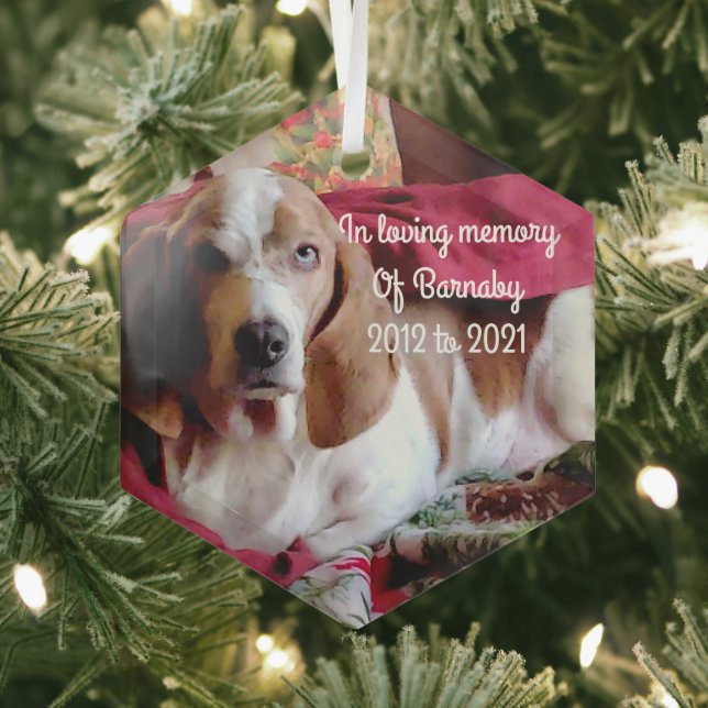 In loving memory pet  glass ornament (Insitu)