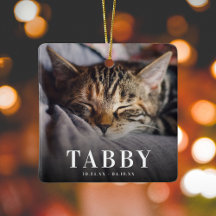 In loving Memory Pet Memorial Cat Tribute 2 Photo