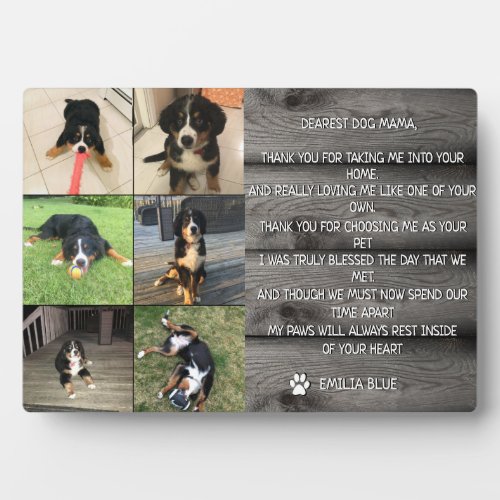 In Loving Memory Pet Memorial Quote Photo Collage Plaque