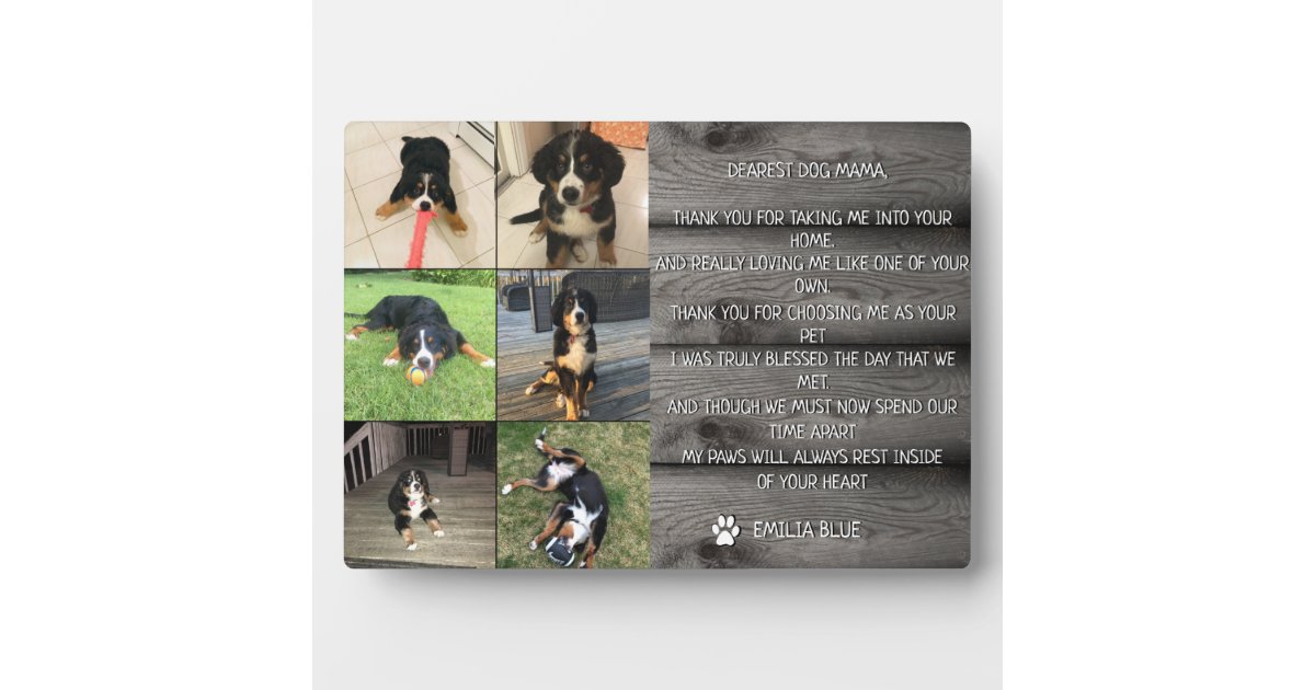 In Loving Memory Pet Memorial Quote Photo Collage Plaque | Zazzle