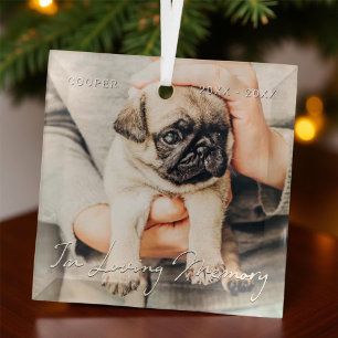 In Loving Memory Pet Memorial Simple Modern Photo Glass Ornament