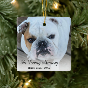 In Loving Memory Pet Photo Ceramic Ornament