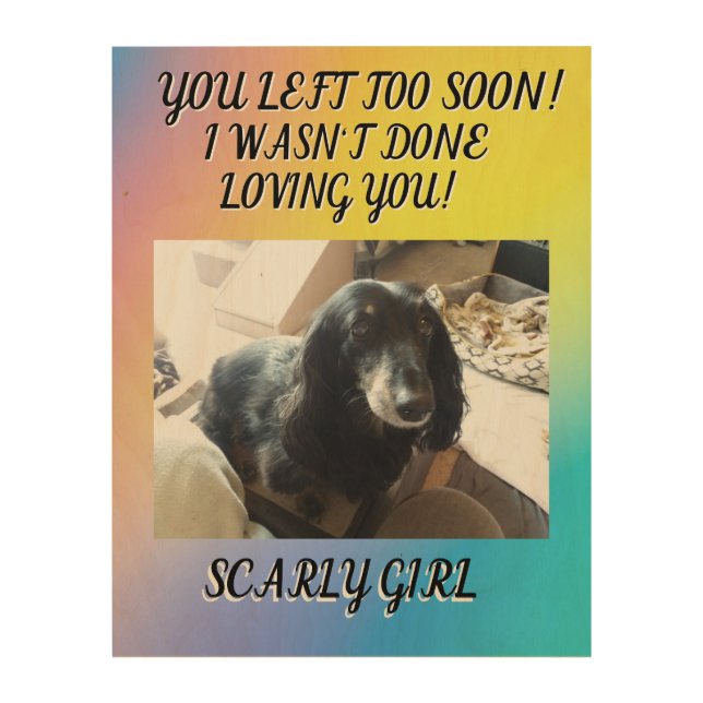 In Loving Memory: Pet's Legacy Wood Wall Art (Front)