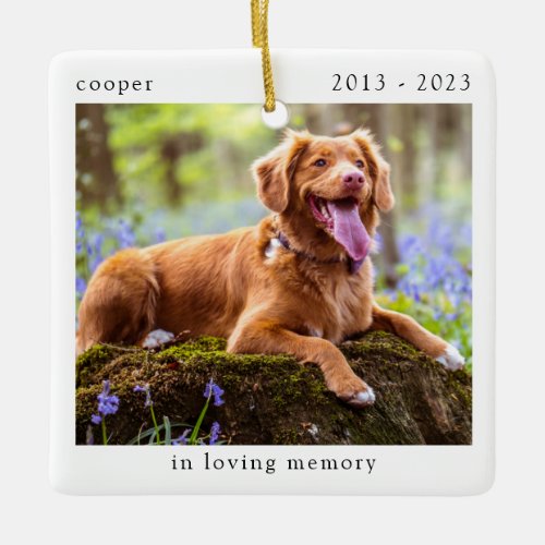 In Loving Memory Photo Pet Memorial Ceramic Ornament