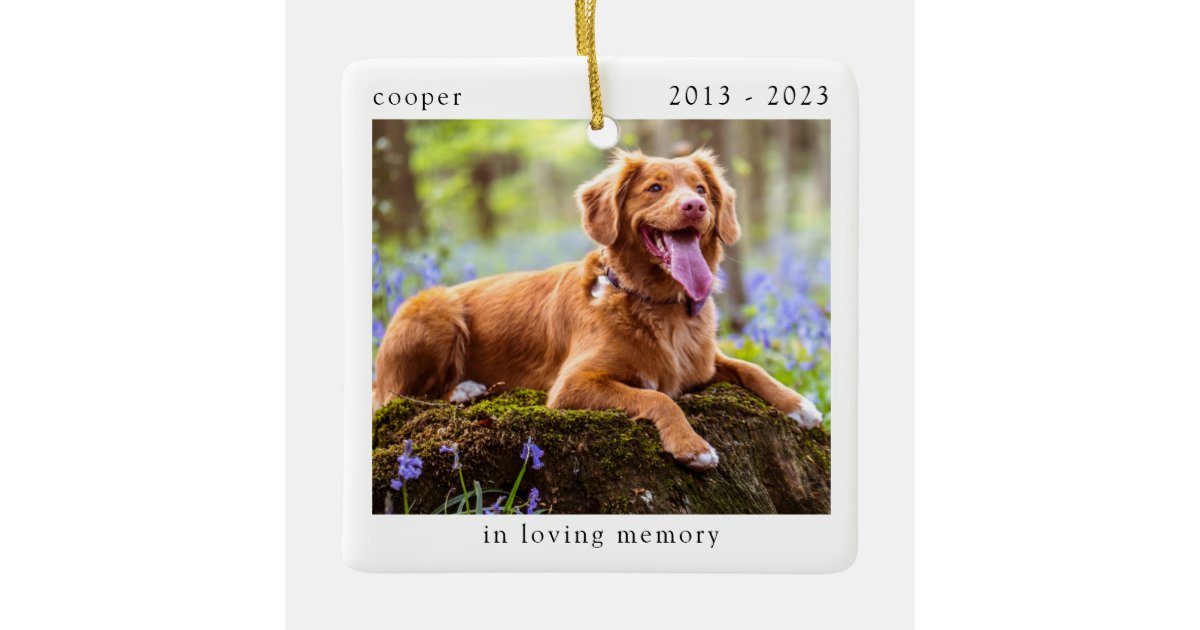 In Loving Memory Photo Pet Memorial Ceramic Ornament | Zazzle