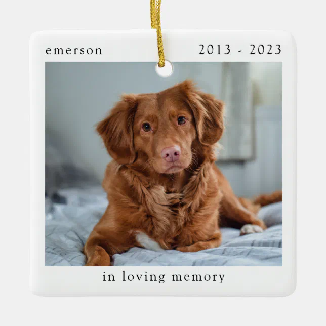 In Loving Memory Photo Pet Memorial Ceramic Ornament | Zazzle