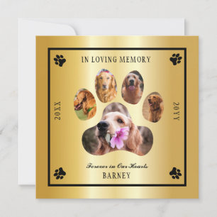 In Loving Memory Photo Pet Memorial - Gold Tone Invitation