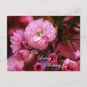 In Loving Memory Spring Pink Cherry Blossoms Postcard