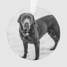 In Memory - Black Lab customizable memorial