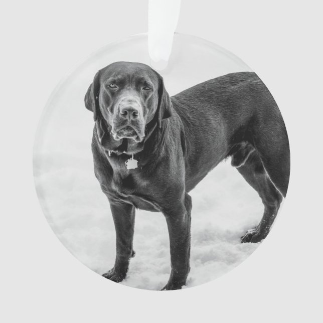 In Memory - Black Lab customizable memorial Ornament (Front)