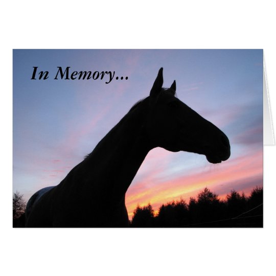 In Memory... Loss of a Horse, With Sympathy Card Zazzle