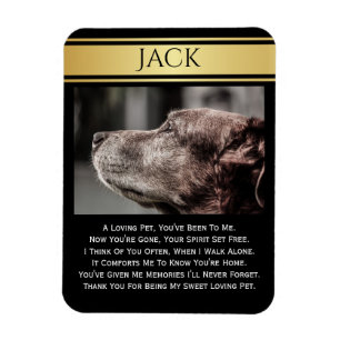 In Memory Of A Lost Pet Magnet