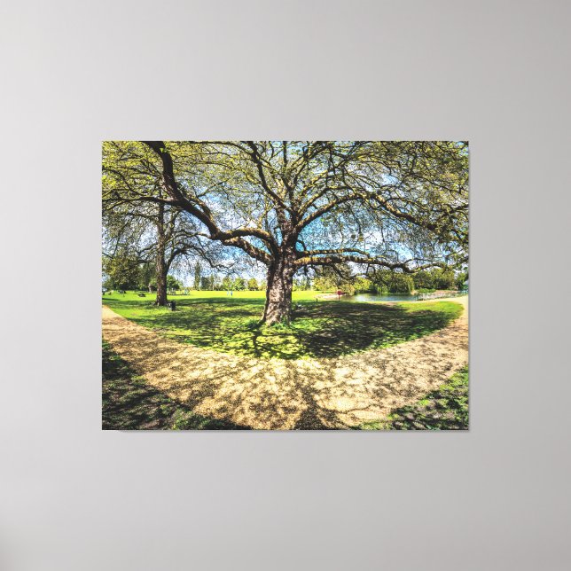 In memory of a Plane Tree, Godmanchester. Canvas Print (Front)