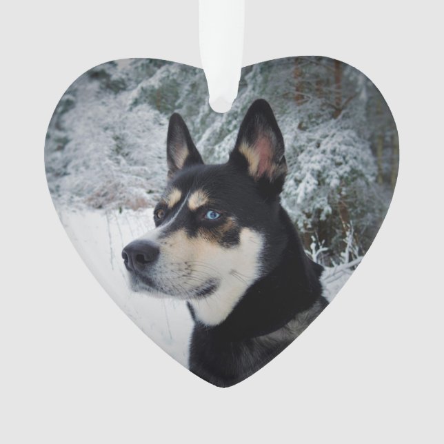 In Memory of Pet Dog Memorial Christmas Keepsake Ornament (Front)