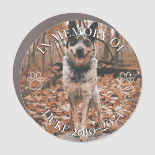 In Memory Of Pet Memorial Bumper Car Magnet