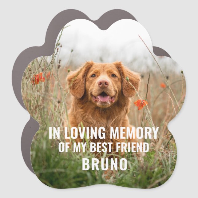 In Memory of Pet Memorial Car Magnet (Front)