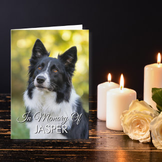 In Memory Of Pet Memorial Sympathy Custom Photo Card