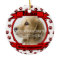 In Memory of Your Pet Forever Remembered Ornament