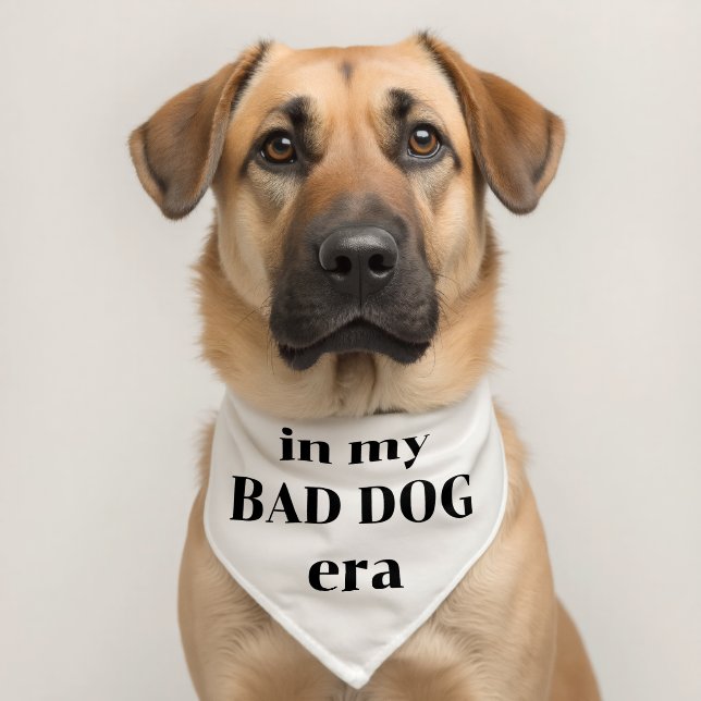 in my bad dog era, funny cute pet bandana collar (Dog 2)