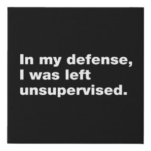 In my defense, I was left unsupervised Faux Canvas Print