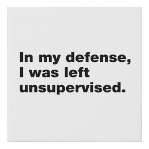 In my defense, I was left unsupervised Faux Canvas Print