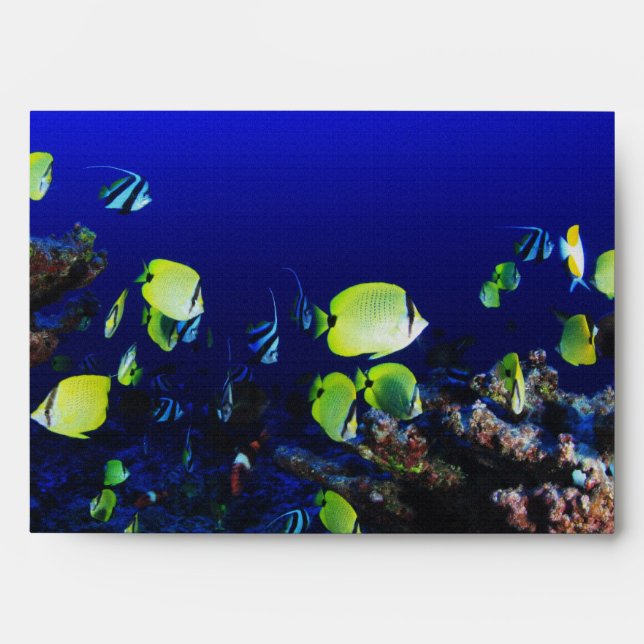 in ocean fish envelope (Front)
