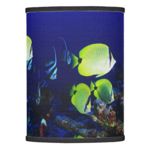 in ocean fish lamp shade