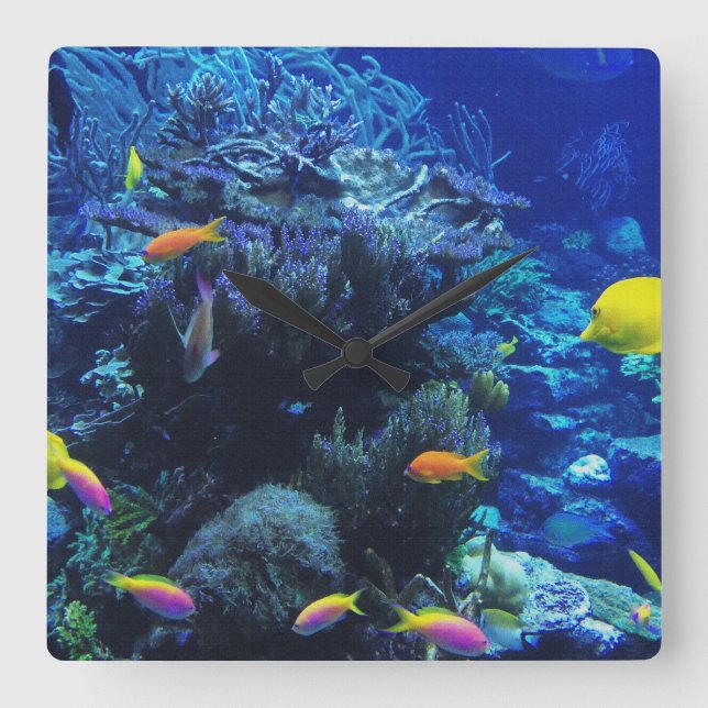 in ocean fish this code on a digital canvas square wall clock (Front)