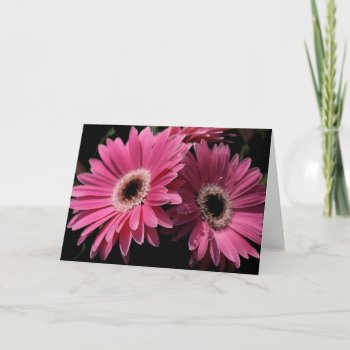In Pink G_4 Greeting Card by glo53bug at Zazzle