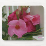 In Pink M_70 Mousepad at Zazzle