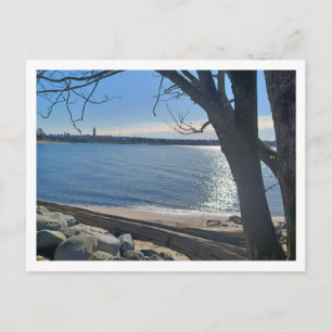 In Plain View Holiday Postcard