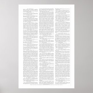 In Polish, USA Constitutional Amendments Poster