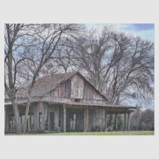 In Ruins Wood Barn with Surrounding Bare Trees     Tissue Paper