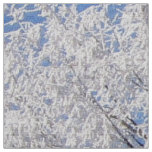 in snow, white trees in winter fabric