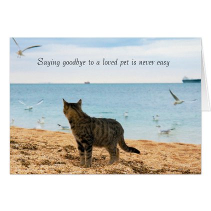 In Sympathy for Death of Cat Card