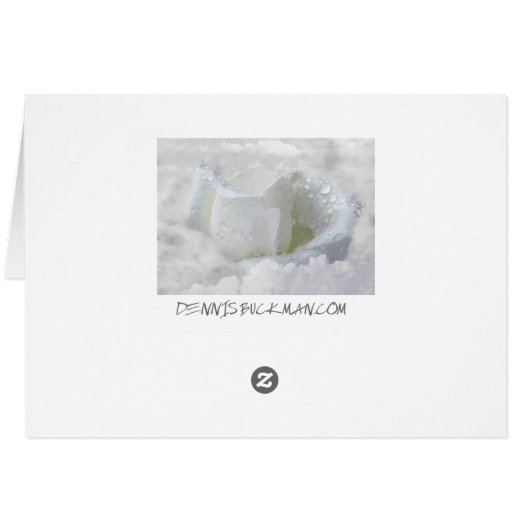 In The Clouds Cards (Back Horizontal)