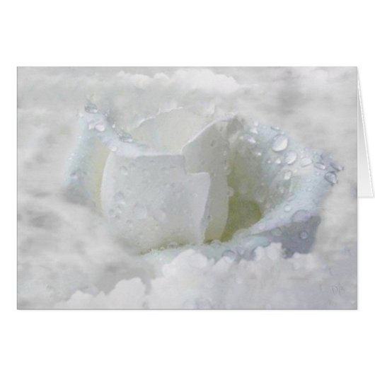 In The Clouds Cards (Front Horizontal)