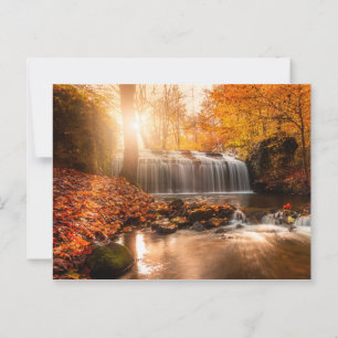 IN THE COLORS OF THE AUTUMN POSTCARD