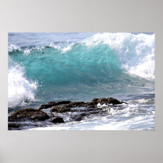 IN THE CURL POSTER