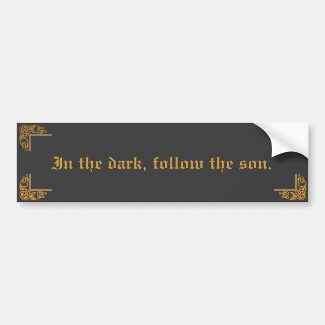 In the dark - Bumper Sticker (Front)